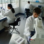 Cancer related image